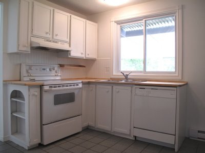 kitchen-- view 1