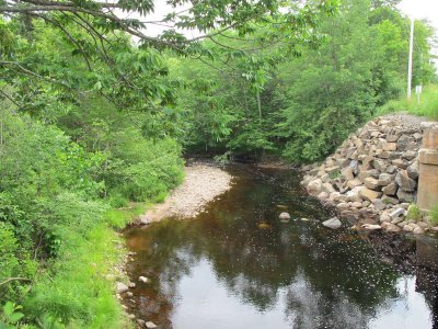upstream side of bridge on June 26, 2010