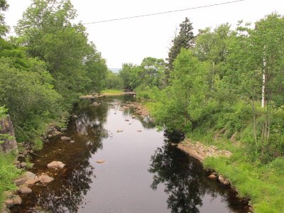 downstream side of bridge on June 26, 2010 - water level getting low