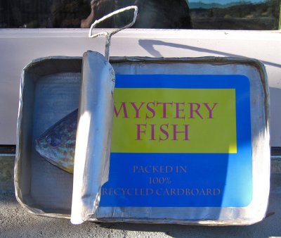 mystery-fish.jpg