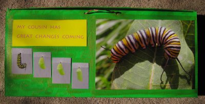 caterpillar-frame-1.jpg