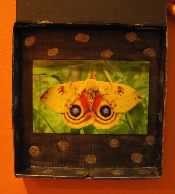 pizza-box-owl-2.jpg