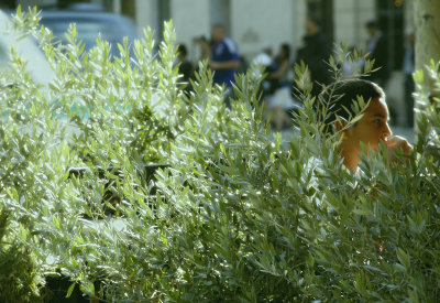 Afternoon - Champs-Elysees, Paris, 2010
