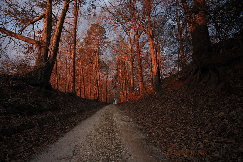 Country-Road