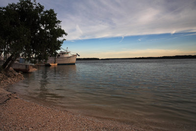 Shrimp Boats