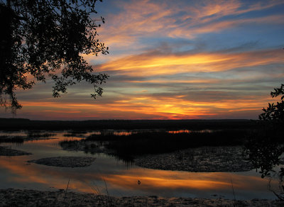 North Marshes