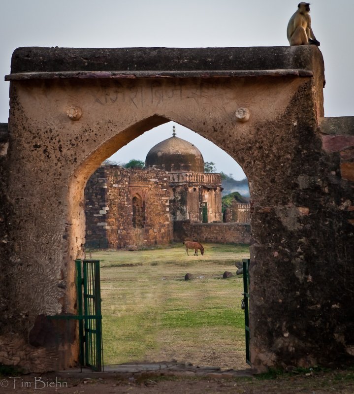 Guard at the Gate