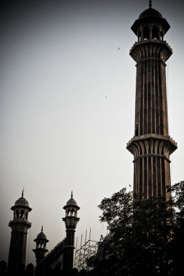 Delhi-43.jpg