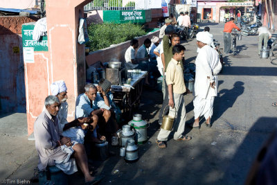 Milk Market of Jaipur