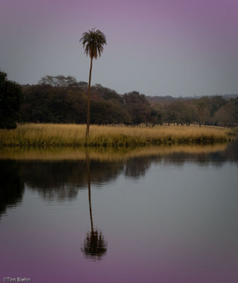 Ranthambore NP 2 of 1.jpg