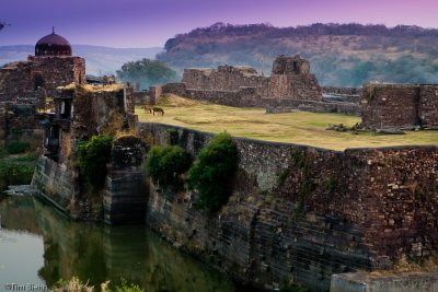 Ruins of Fort Ranthambhore