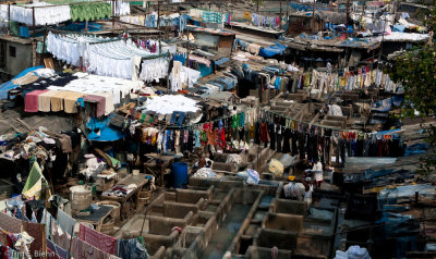 The Laundry (Ghats) of Mumbai