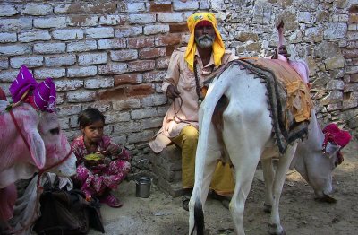 Pushkar Camel Festival