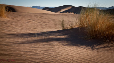 Sand Dunes of the Sahara