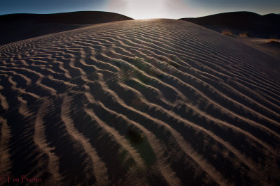 Sand Dunes of the Sahara