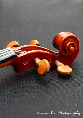 Violin