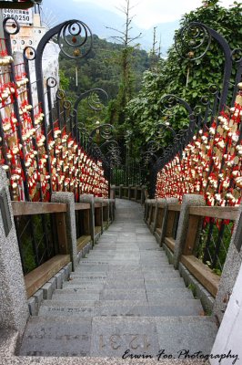 IMG_7473.JPG