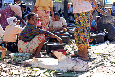 Fish market