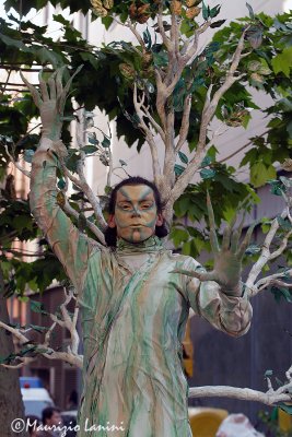 La Rambla statue : the tree