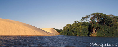 Sand dunes and forest