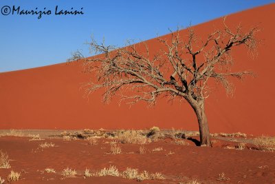 Colori del Namib , Namib colors