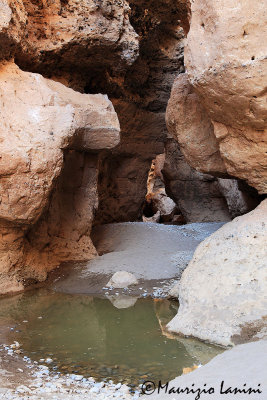 Canyon di Sesriem , Sesriem canyon