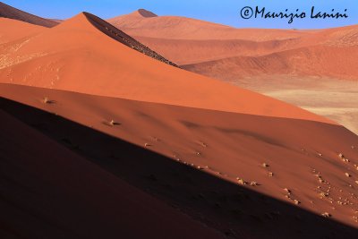 Dune , Dunes
