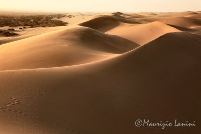 Dune , Sand dunes