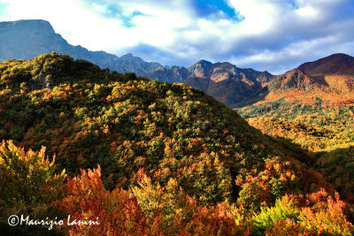 I colori dell'autunno nel PNALM , Fall colors in the Abruzzo National Park