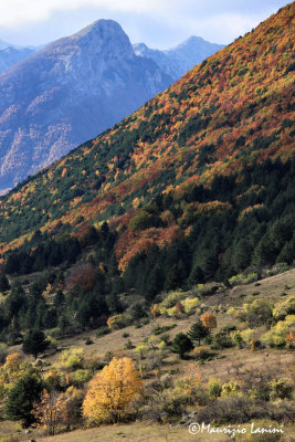I colori dell'autunno nel PNALM , Fall colors in the Abruzzo National Park