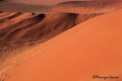 Dune del deserto del Namib , Namib's dunes