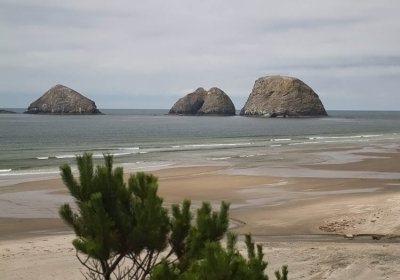 Three Arch Rocks N.W.R