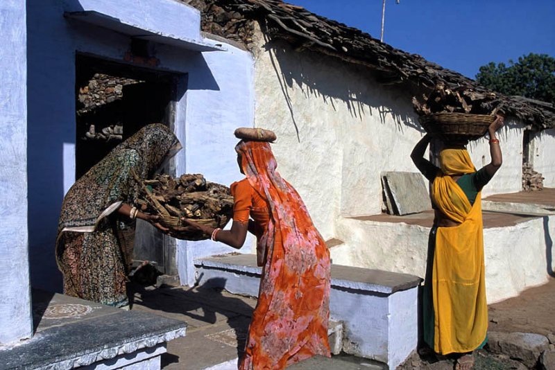 India, Devli, Rajahastan, November 2001