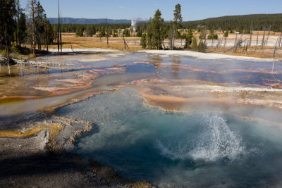 Lower Geyser Basin, Firehole Lake Drive, Surprise Spring