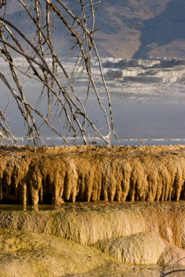 Mammoth Hot Springs, Canary Spring