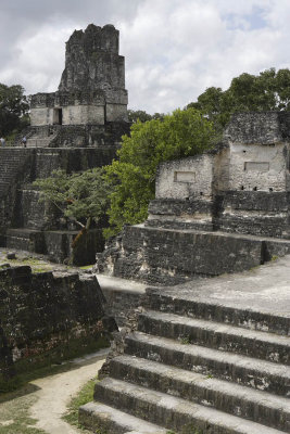 Tikal