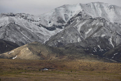 Denali National Park