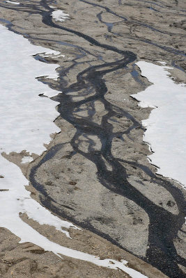 Denali National Park