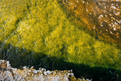 Black Sand Geyser Basin, abstract pattern