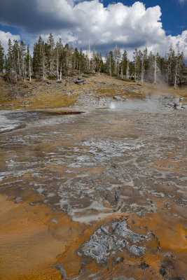 Upper Geyser Basin, Grand Geyser