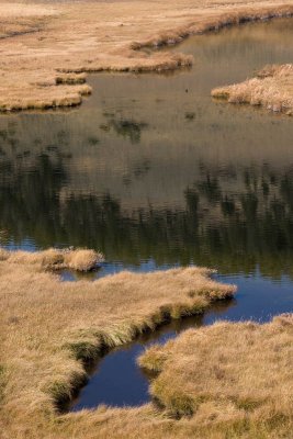 Mammoth Country, Blacktail Ponds