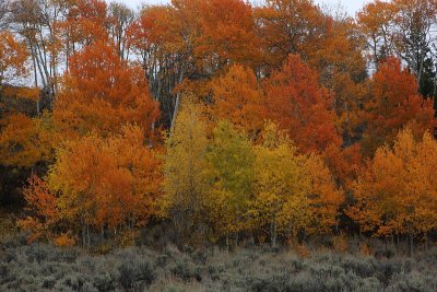 Antelope Flats