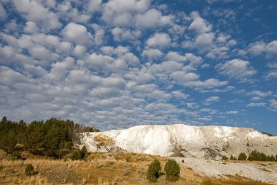 Mammoth Hot Springs, Canary Spring