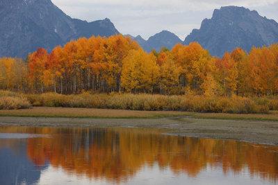 Oxbow Bend