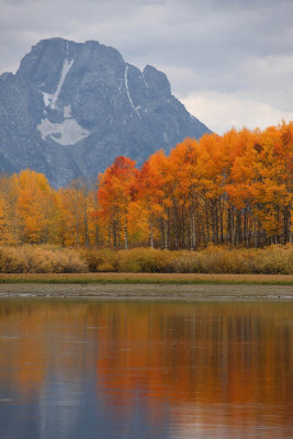 Oxbow Bend