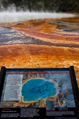 Midway Geyser Basin, Grand Prismatic Spring