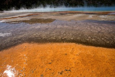 Midway Geyser Basin, Grand Prismatic Spring