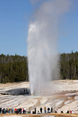 Upper Geyser Basin, Giantess Geyser