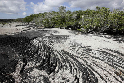 Lava and sand, Punta Espinosa, Fernandina Island