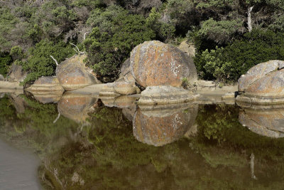 Tidal River, Wilsons Promontory N P